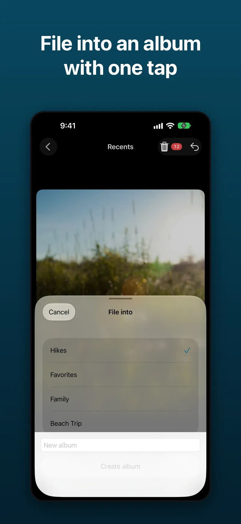 Screenshot: filing a photo into an album