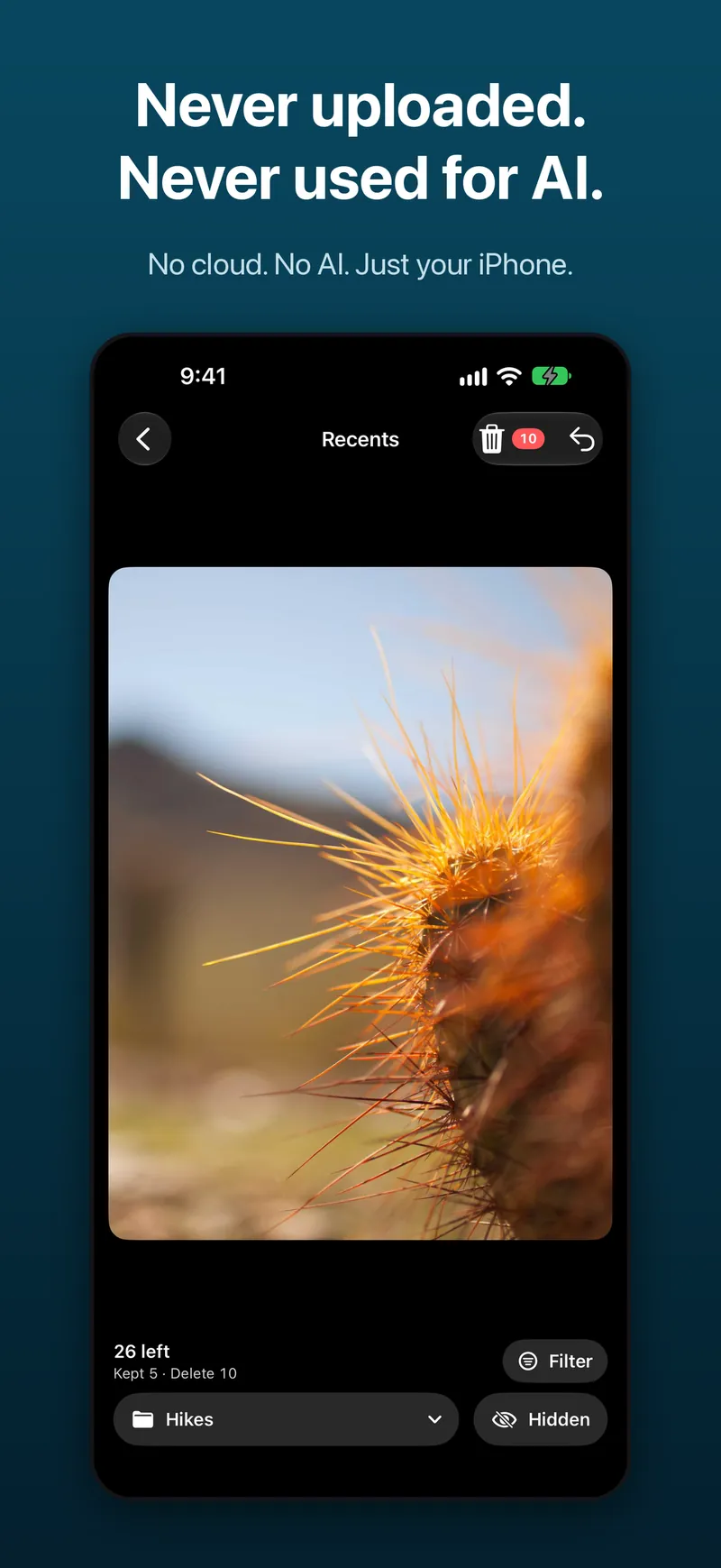 Screenshot: never uploaded, never used for AI